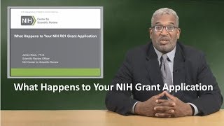 What Happens to Your NIH Grant Application [upl. by Eirrahs]