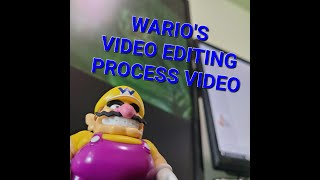 Warios Video Editing Process Video [upl. by Mainis]