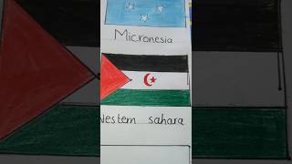 Western Sahara flag🇪🇭 shorts countryflag westernsahara [upl. by Adnahsar739]