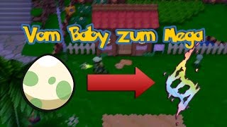 Vom Baby zum Mega  Tutorial  Pokémon Omega Rubin und Alpha Saphir ΩRαS [upl. by Bez]