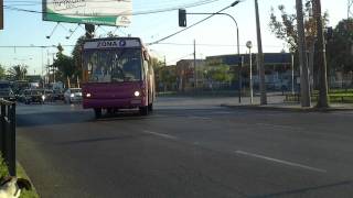 Marcopolo Torino G6  Mercedes Benz  STP Santiago Zona F [upl. by Reider]