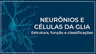 Neurônios e Células da glia Estruturas funções e classificações [upl. by Ailisec]