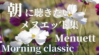 【名曲クラシック】朝に聴きたいメヌエット名曲集 爽やかな朝のためのmorning classic BGM モーツァルト、ベートーヴェン、ビゼー 、JSバッハ他 [upl. by Haff]