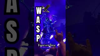 Forever free  WASP in NyC 🦅 [upl. by Yelime]