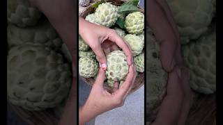 Sitaphalam health benefits సీతాఫలం shorts custardapple youtubeshorts fruit shortvideo [upl. by Janus92]