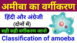 अमीबा का वर्गीकरण  amoeba ka classification  amoeba ka vargikaran  biology scienceSK [upl. by Annawoj]