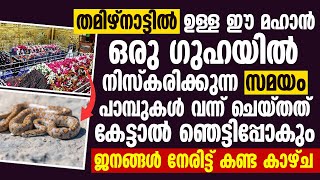 തമിഴ്നാട്ടിൽ ഉള്ള ഈ മഹാൻ ഒരു ഗുഹയിൽ നിസ്കരിക്കുന്ന സമയം  Tamil Nadu Dargah [upl. by Ralli]