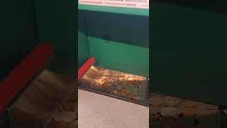 Convert coins into Cash Coinstar Machine shortsfeeds coinstar coins shorts [upl. by Pazice8]