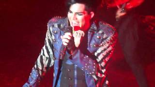 HD Adam Lambert  Strut LIVE  Store Vega Denmark  November 10 2010 [upl. by Weigle790]