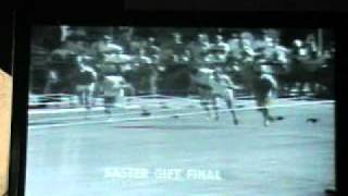 1971 Stawell Gift won by Treva McGregor [upl. by Alekal205]