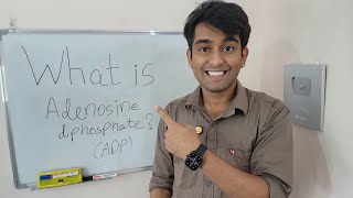 Learn What is Adenosine Diphosphate ADP   ADP  The Key to Cellular energy transfer in Biology [upl. by Alcus117]