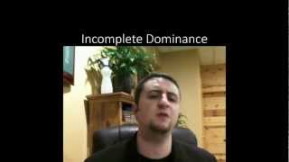 Incomplete Dominance Codominance and Multiple Alleles [upl. by Odel]