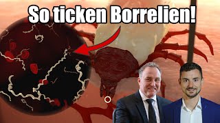 Borreliose behandeln  Eigenschaften von Borrelien  Dr Armin Schwarzbach amp Sören Schumann [upl. by Chilcote]