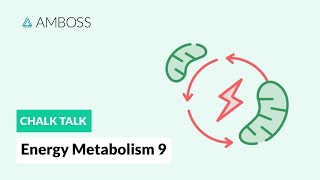 Energy Metabolism  Part 9 The Cori Cycle [upl. by Trueman826]