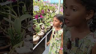 Exploring Flower ShowpookalpookumtharunamChennaimusic song tamilsong love Mosi alaparaigal [upl. by Peirce]