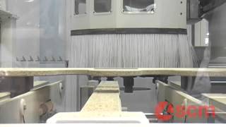 SCM Tech Z5 CNC Router [upl. by Ally2]