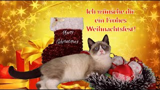 Süße Weihnachtsgrüße zum Teilen und Versenden  Ich wünsche dir Frohe Weihnachten – Weihnachtsgruß 🎅 [upl. by Aihsekram]