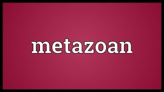 Metazoan Meaning [upl. by Algernon]