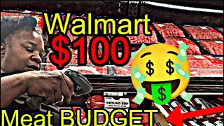 WALMART 100 MEAT BUDGET SHOPPING WHILE DISABLED… EBT BENEFITS [upl. by Hait]