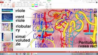 Arterial blood gas interpretation [upl. by Stanhope]