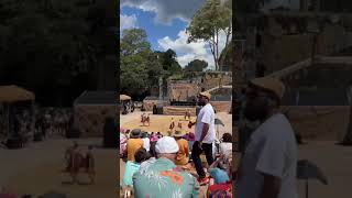 Brolga Dance Academy at Dance Rites 2023 [upl. by Bilac]