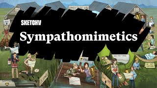 Sympathomimetics Exploring Functions and Effects Part 1  Sketchy Medical  USMLE Step 1 [upl. by Gerrie]