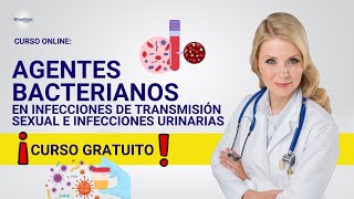 🔴 CURSO AGENTES BACTERIANOS EN INFECCIONES DE TRANSMISIÓN SEXUAL ǀ COMPLETO Y GRATIS 2024✅PARTE 2 [upl. by Jemy]