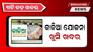 Kalia Yojana New Update 17th January  Odisha Gold Price Down  Odisha TV [upl. by Anivel]