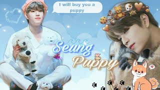 Seung Puppy  Seungmin Stray Kids FF  Oneshot [upl. by Valencia414]