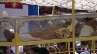 Sacred relics of St Francis Xavier carried in procession [upl. by Janeczka]