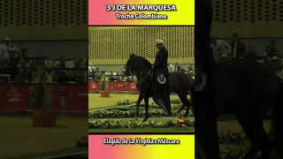 3J DE LA MARQUESA NACIONAL FEDEQUINAS 2023 shortsvideo trocha [upl. by Etiuqram]