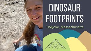 Dinosaur Footprints the Massachusetts State Fossil [upl. by Zaslow]