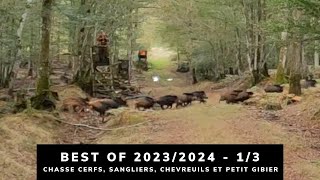 BEST OF 20232024  CHASSE AUX CERFS SANGLIERS CHEVREUILS ET PETIT GIBIER  13 [upl. by Eisele966]