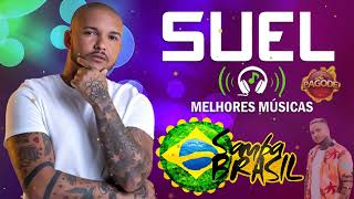 Suel 2024  As Melhores e Músicas Novas 2024  Top Pagode Mix [upl. by Mirielle568]