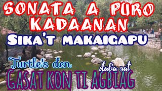 PURO KADAANAN A SONATAGASAT TI AGBIAGSikat makaigapu TURTLES DEN DALIA SAT [upl. by Anihsat]