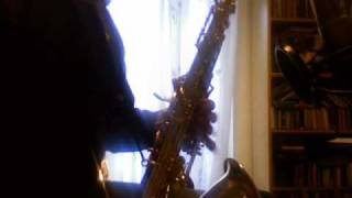 Selmer Reference 36 vs Yanagisawa T901 Tenor Sax [upl. by Essined914]