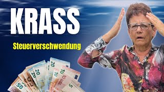 So werden Steuern in Deutschland verschwendet KRASS [upl. by Byrn]