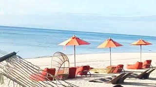 TESS Lifestyle Vlog is live SOUTH PALM BEACH IN PANGLAO BOHOL [upl. by Annunciata]