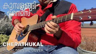 Cherathukal  Kumbalangi Nights  Instrumental Cover [upl. by Salis822]