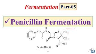 106 Fermentation of Penicillin  Microbial Production of Penicillin Antibiotic [upl. by Kcod]