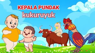 KEPALA PUNDAK  KUKURUYUK  lagu anak anak balita Indonesia [upl. by Sabella993]