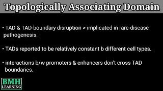 Topologically Associating domain  TADs [upl. by Adria]