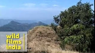 Junction of two moving tectonic plates Indian and Burmese in Mizoram [upl. by Amadus]