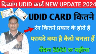 विकलांग UDID CARD कितने रंग का होता है  Divyang Udid Card Ke Fayde  Udid Card Kaise Banta Hai New [upl. by Sella34]