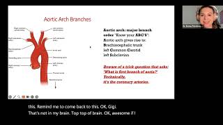 Cardiovascular Anatomy for NPLEX I Review [upl. by Einnel]