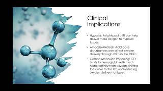 The Bohr Effect and the Oxygen Dissociation  Curve Biology Unit 2 [upl. by Aicercal826]