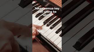 Tip tips dalam memilih Piano second [upl. by Lefton384]