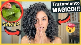 🤩Tratamiento de SÁBILA ALOE VERA🌵 MUY FÁCIL y EFECTIVO para un Cabello Rizado SALUDABLE y HERMOSO😍 [upl. by Dinnie]