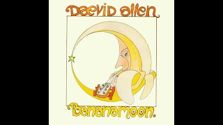 Daevid Allen  Banana Moon 1971 Full Album [upl. by Aneram386]