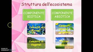 Ecologia Ambiente Ecosistema per la scuola primaria [upl. by Spiegel406]